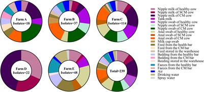 Epidemiology, Environmental Risks, Virulence, and Resistance Determinants of Klebsiella pneumoniae From Dairy Cows in Hubei, China